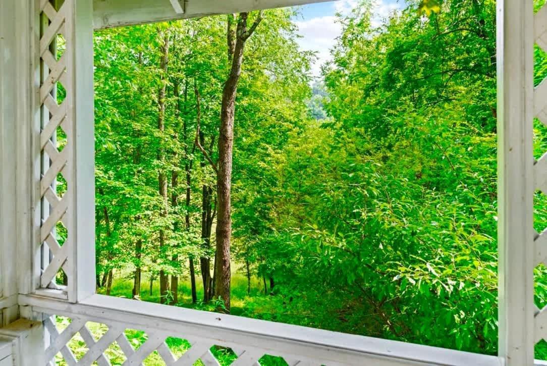 Gated Mansion - Basketball Court Movie Theater Views Villa Big Stone Gap Buitenkant foto